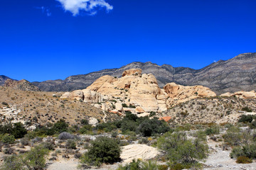 Fototapeta premium Colorful rocks at the Red Rock Canyon National Conservation Area in Nevada, USA