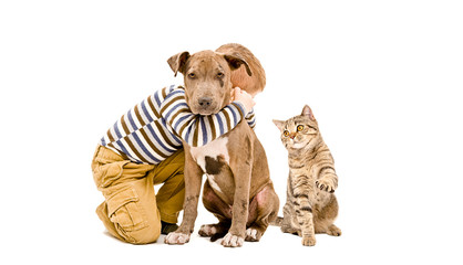Boy, pit bull puppy and cat sitting together