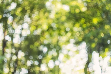 Fensteraufkleber Natural green forest bokeh background © torriphoto