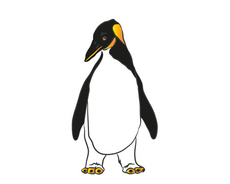 Penguin - Clip Art - Vector Illustration