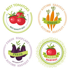 Labels on the seeds for carrots, eggplant and tomatoes. 