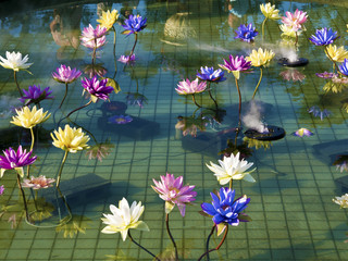 plastic colorful decoration lotus in pond,Taipei