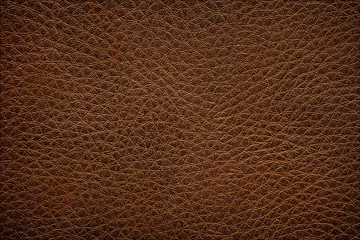 Fototapety  brown leather texture for background