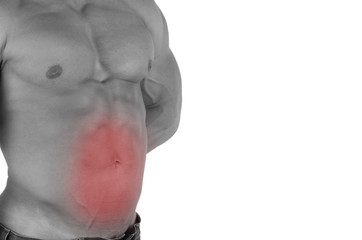 Fototapeta premium bodybuilder body closeup