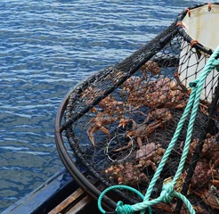 Gordijnen Pyramid shaped traps used for smaller Opilio crab © vintagepix