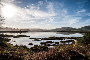 Marisma de santoña.