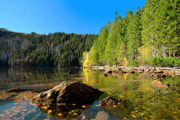 Black Lake, the Largest natural lake in the National park Sumava,Czech republic