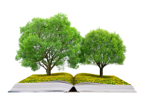 Book of nature with trees on meadow