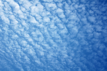 Fototapeta na wymiar blue sky with cloud pattern