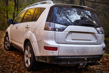 SUV in the forest