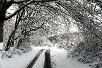 Winter road in snowy white, the beautiful fairy forest