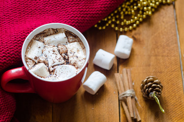 cup of hot chocolate with cinnamon and marshmallows