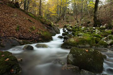 Sorgenti dell'Arzino