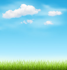 Fototapeta na wymiar Green Grass Lawn with Clouds on Blue Sky