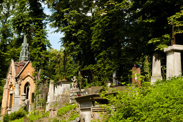 Fototapeta na wymiar Historic Lychakiv Cemetery - Lviv - Ukraine