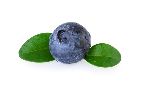 Blueberry Macro