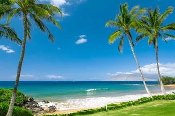 Crédence de cuisine en verre imprimé Plage et mer Sunny tropical beach with palm trees
