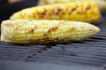 Corn roast on barbecue grille.