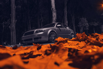 Audi A4 in autumn - obrazy, fototapety, plakaty