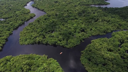 Crédence de cuisine en verre imprimé Amérique centrale Vue aérienne de la forêt amazonienne au Brésil, en Amérique du Sud