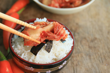 Kimchi cabbage and steamed rice