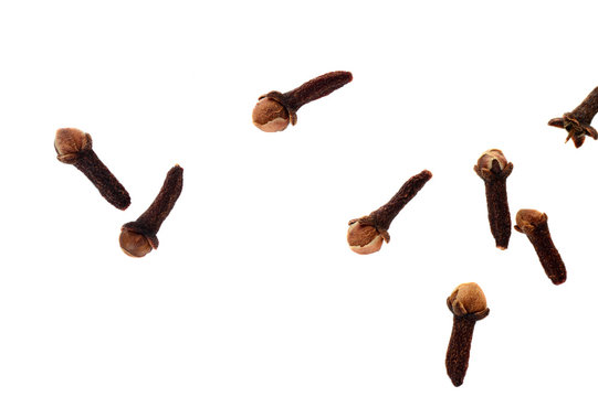 Cloves isolated on white background