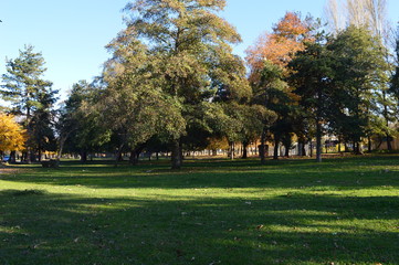  Park 
