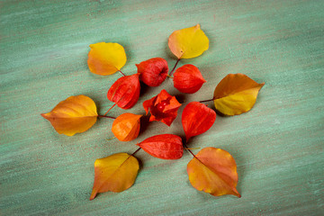 Physalis red box, red berries Physalis, yellow leaves on a woode