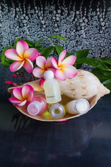 Mini set of bubble bath and shower gel in sea conch shell
