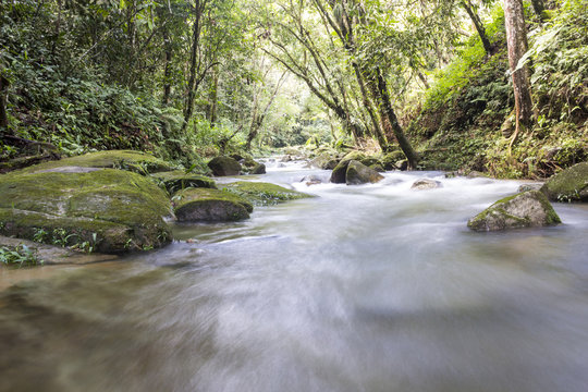 Paisaje de R&iacute;o agua fluir