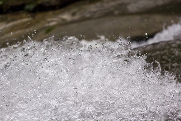 Agua
