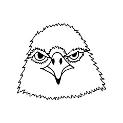 hand draw eagle's head
