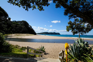 hot water beach New Zealand