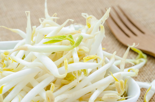 Mung bean sprouts in white cup.