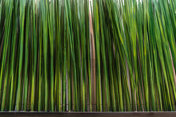 Artificial Onion Grass