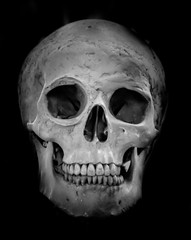 Skull