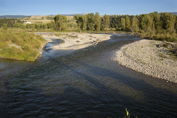 Fork in the Snake River, with gravel bars and willows on the banks, Teton National Park, Wyoming.