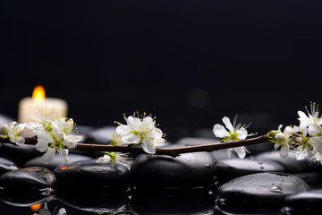 Still life with cherry blossom with white candle on black stones