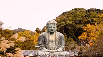鎌倉大仏院高徳院の国宝銅造阿弥陀如来坐像