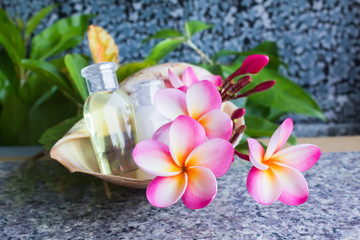 plumeria or frangipani decorated on water and pebble rock in zen