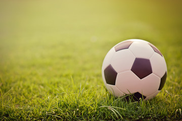 soccer field © moomsabuy