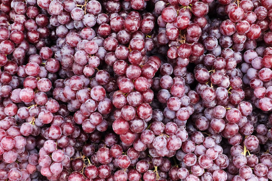 close up of red grape for background