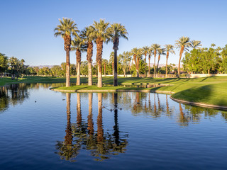 Fototapeta na wymiar Palm trees reflected in a water feature at a Palm Desert California golf resort. 