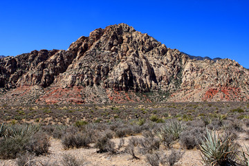 View of the Red Rock Canyon National Conservation Area in Nevada, USA