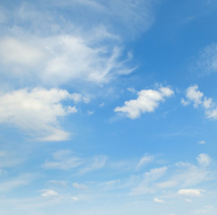 Naklejka na ściany i meble plumose clouds in the blue sky