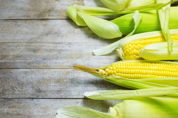 fresh corn on wooden table