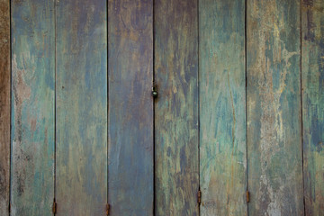 Obraz premium wood door texture