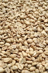 Naklejka premium Coffee beans for backgrounds or textures