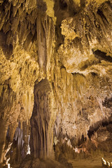 Carlsbad Caverns National Park