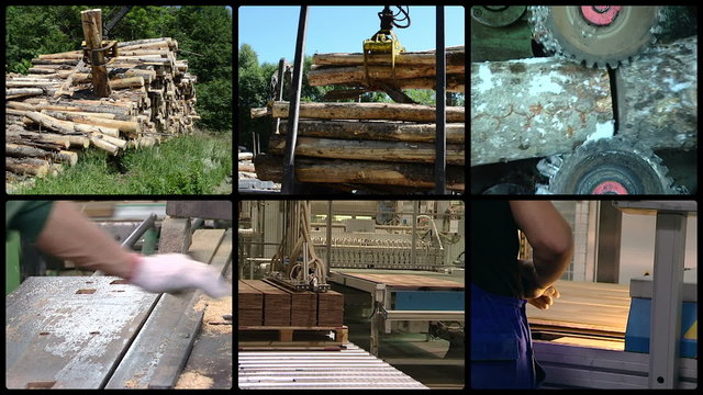 Timber and lumber industry. Tree log transportation. Floor parquet wood board production in factory. Montage of video clips collage. Split screen. Black round corner frame. Full HD 1080p.
